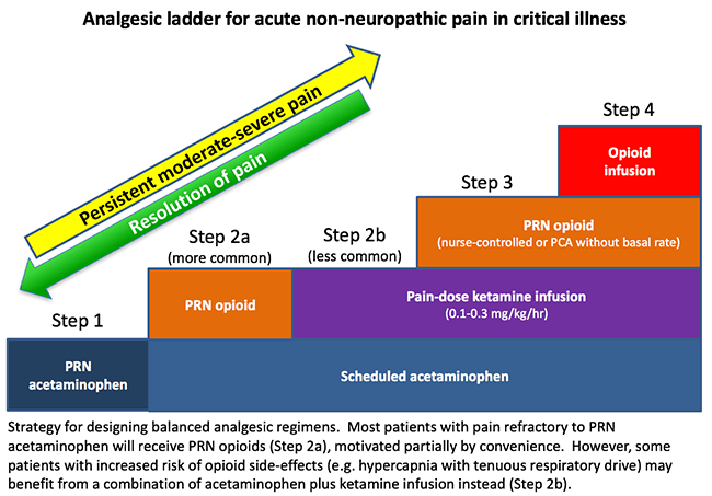 Merck R Ladder Reengineering the analgesic ladder for critically ill patients ...