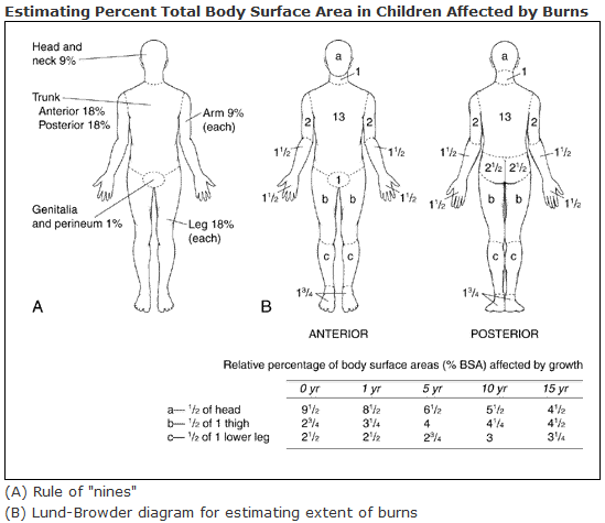 Lund-Browder_chart-burn_injury_area_1