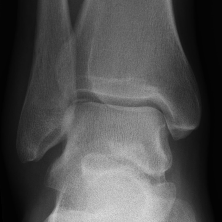 ad1d01eb-892d-4ca0-b097-020cb626611b