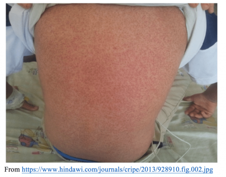 Screen-Shot-2017-07-26-at-2.38.00-AM-768x600