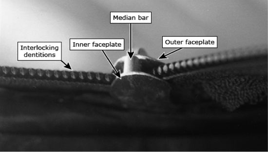Zipper Injuries Zipper Injuries – Verpleegkundig specialisten Spoedeisende hulp