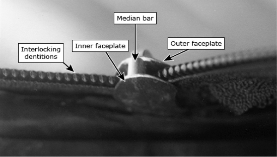 zipper fastener anatomy