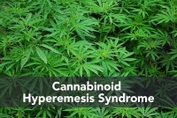 Cannabis-plant-200x134