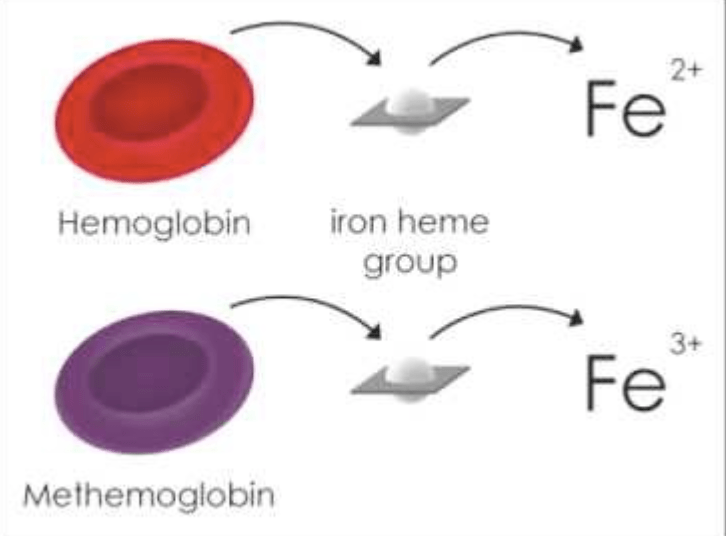 Methemoglobinemia-Patholophysiology.png